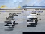 New 2026 Ford F250 Platinum image 3