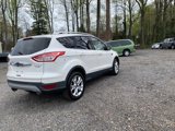 Used 2014 Ford Escape Titanium image 4