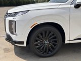 New 2025 Hyundai Palisade Calligraphy image 4