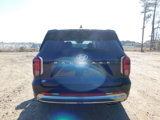New 2025 Hyundai Palisade Calligraphy image 6