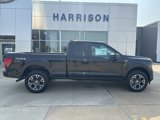 New 2025 Ford F150 STX w/ Equipment Group 200A image 4