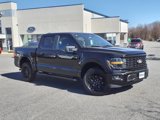 New 2025 Ford F150 STX image 2