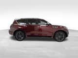 Used 2023 INFINITI QX80 Sensory w/ Cargo Package image 5