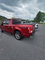 Used 2016 Ford F150 XLT w/ Equipment Group 302A Luxury image 4