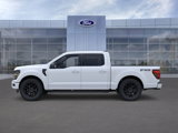 New 2024 Ford F150 XLT w/ Equipment Group 303A High image 3