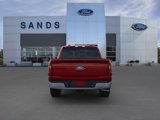 New 2025 Ford F150 XLT image 5