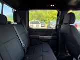 New 2025 Ford F150 XLT w/ Equipment Group 302A MID image 6