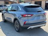 Used 2023 Ford Escape SE image 6