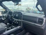 New 2025 Ford F150 XLT image 3