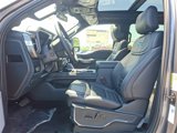 New 2025 Ford F250 Platinum image 6