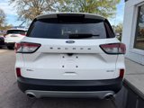 Used 2022 Ford Escape SEL image 3