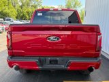 New 2025 Ford F150 XLT w/ Equipment Group 302A MID image 4