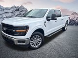 Certified 2024 Ford F150 XLT w/ Equipment Group 302A MID image 2