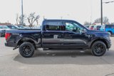 New 2025 Ford F150 XLT w/ Equipment Group 302A MID image 6