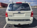 Used 2009 Ford Escape XLT image 5