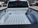 New 2025 Ford F150 XLT image 5
