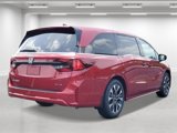 New 2026 Honda Odyssey Elite image 4