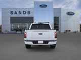 New 2025 Ford F150 Platinum image 5