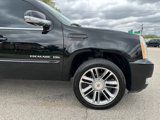 Used 2013 Cadillac Escalade ESV Premium image 5