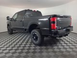 New 2025 Ford F250 Platinum image 5