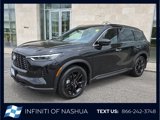 New 2025 INFINITI QX60 Luxe w/ Black Edition image 2