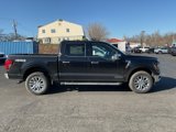 New 2025 Ford F150 XLT w/ Equipment Group 302A MID image 5