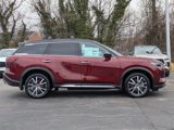 New 2025 INFINITI QX60 Autograph w/ Cargo Package image 2