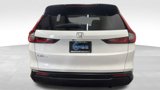 Used 2025 Honda CR-V EX-L image 4