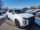 New 2025 Hyundai Palisade Calligraphy image 5