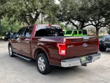 Used 2016 Ford F150 XLT w/ Equipment Group 302A Luxury image 6