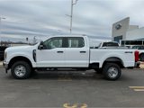 New 2025 Ford F250 XL w/ XL Chrome Package image 5