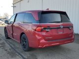 New 2025 Honda Odyssey Sport-L image 4