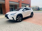 Used 2019 Lexus NX 300 AWD w/ Premium Package image 3