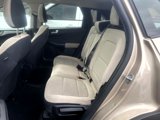 Used 2020 Ford Escape SE image 6