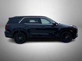 New 2025 Hyundai Palisade Calligraphy image 4