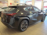 Used 2025 Lexus UX 300h FWD image 5