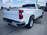 Used 2020 Chevrolet Silverado 1500 LT w/ All-Star Edition image 5