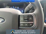 New 2025 Ford F150 XLT w/ Equipment Group 302A MID image 6