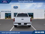 New 2025 Ford F150 XLT w/ Equipment Group 302A MID image 5