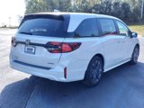 New 2025 Honda Odyssey Touring image 5