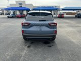 New 2025 Ford Escape ST-Line w/ Tech Pack #1 image 4