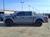 Certified 2022 Ford F150 Platinum w/ Equipment Group 701A High image 3