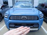 New 2025 Toyota 4Runner Limited image 2