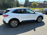 Used 2022 Ford Escape SEL image 6