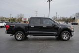 Used 2022 Ford F150 XLT w/ Equipment Group 302A High image 2