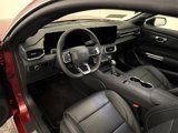 Certified 2024 Ford Mustang Premium image 4