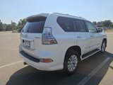 Used 2017 Lexus GX 460 image 5