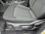 New 2025 Ford Ranger XL image 4