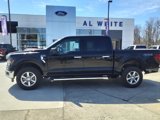 New 2025 Ford F150 XLT image 2