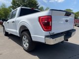Used 2021 Ford F150 XLT w/ Trailer Tow Package image 3